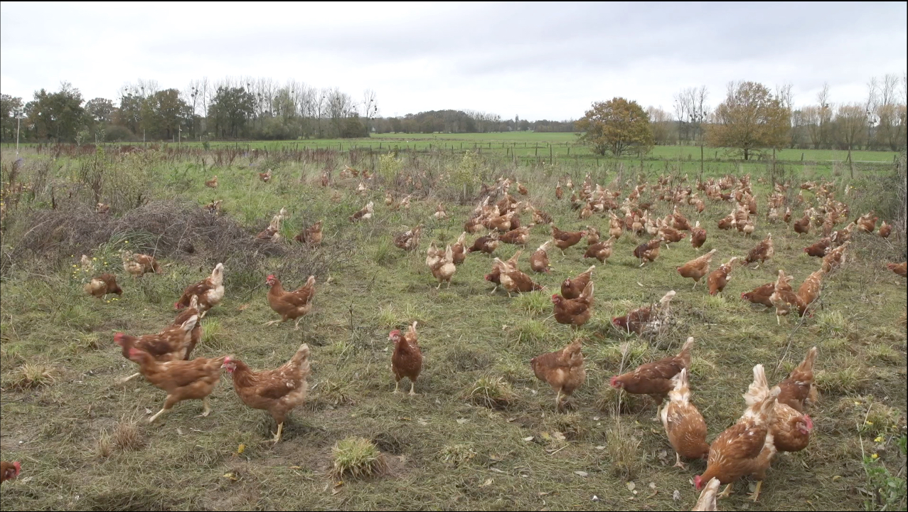 Ferme de la Chuplinais.jpg