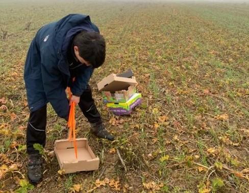 Fichier:Comptage de limaces.jpg