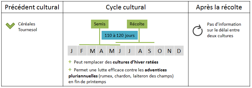 Rotation de la cameline.png