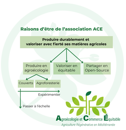 Raisons d'être de l'association ACE
