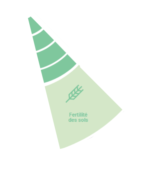 Fichier:Capture d'écran 2024-06-14 120957.png