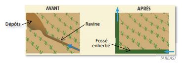 Fichier:Interet fosse.jpg