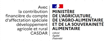 Fichier:Logo CASDAR ministère agriculture.png