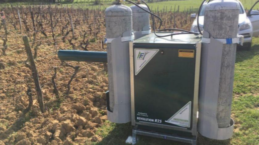 Fichier:Frostguard vigne.png