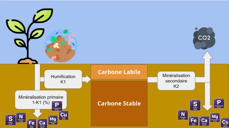 Fichier:StockerC CycleHumus.jpg