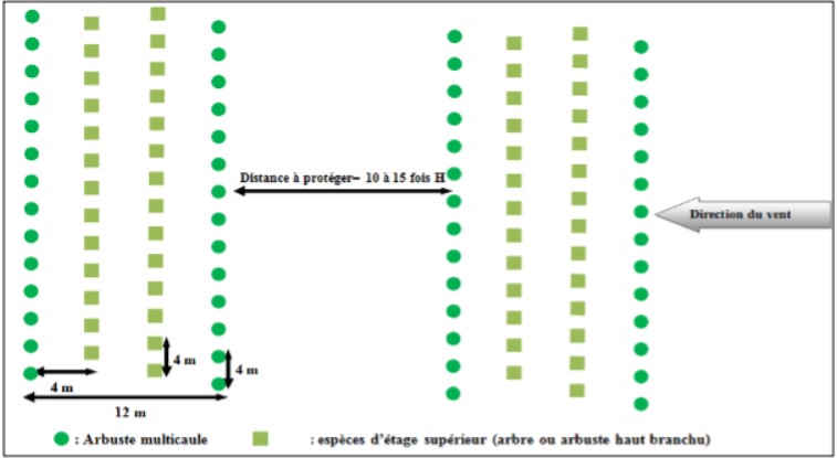 Fichier:BriseVent Implantation.jpg
