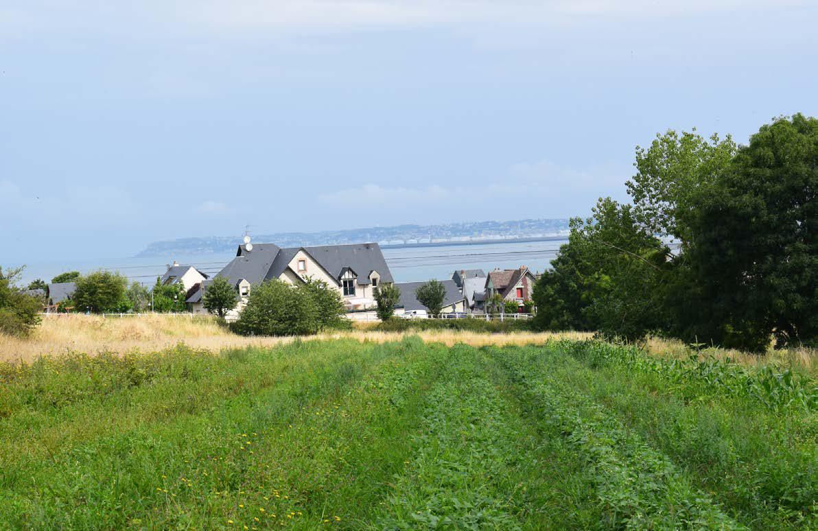 Ferme du Chateau - bannière.jpg