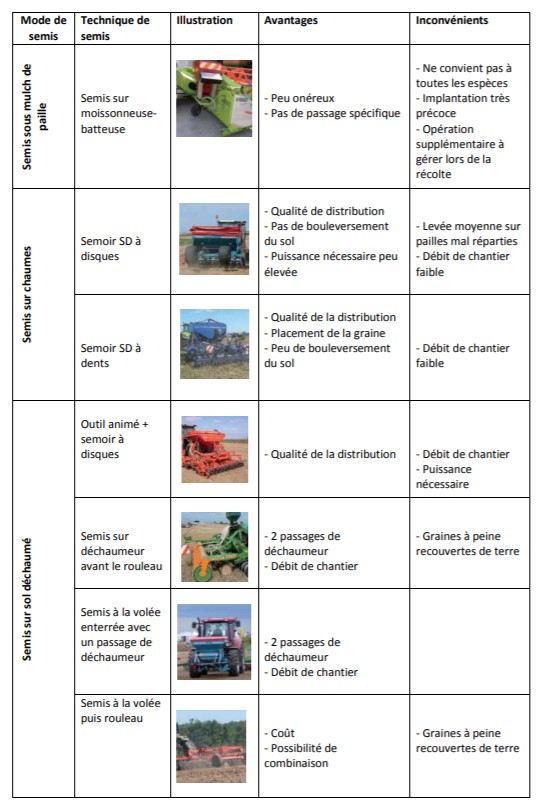 Différentes techniques de semis sous couvert