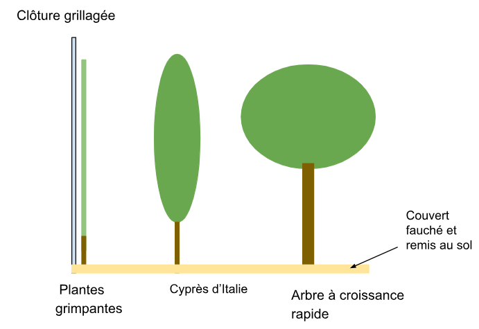 Fichier:Zhor Lebbar Haie du jardin 3.png