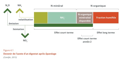 Devenir de l'azote d'un digestat après épandage