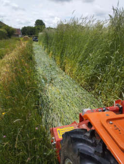 Fichier:Couchage d'un CV à la ferme Espérance.png