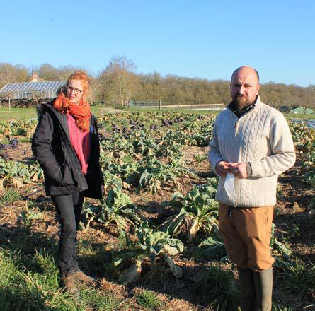 Fichier:Légumes du désert - Morgane Fournier et Marc Guilloussou.jpg