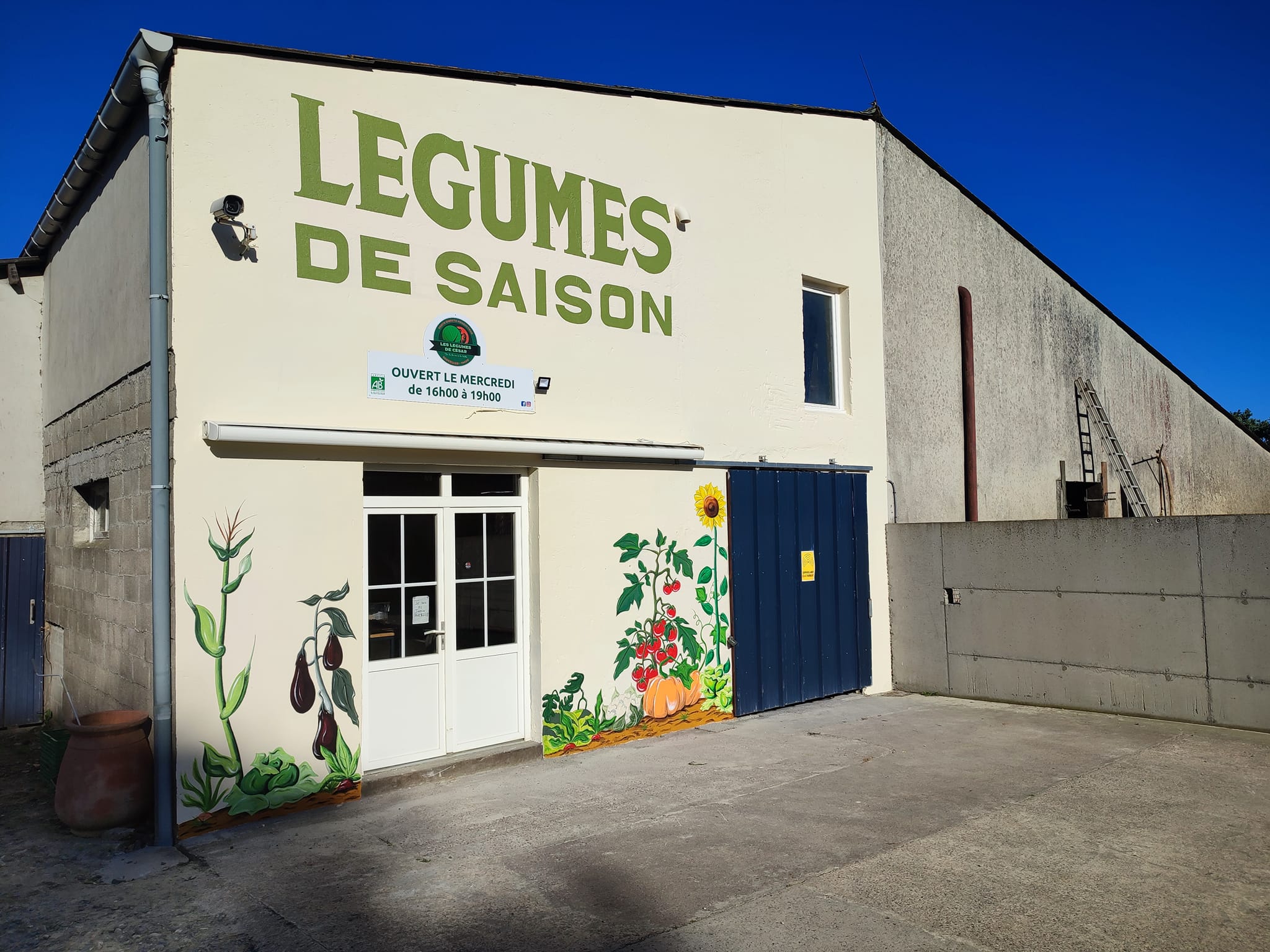 Les légumes de César - bannière.jpg