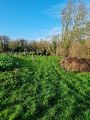 Brouette Bleue plantation d'arbres