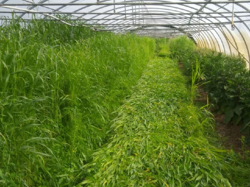 Fichier:Illustration Formation fm-ma-integ.jpg