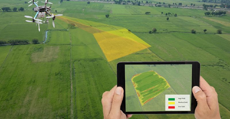 Fichier:Estimation biomasse.jpg