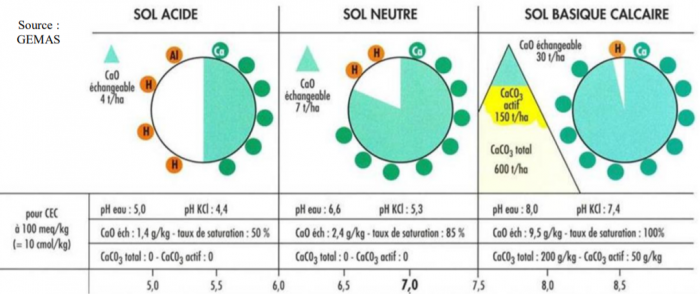 Calcaire-pH.png