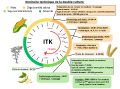 Vignette pour la version du 10 juin 2024 à 16:37