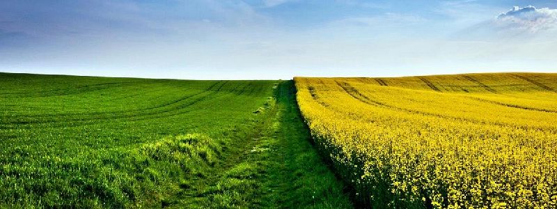 Fichier:Agro-Transfert - fond.jpg