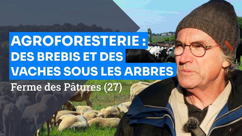 Fichier:Thumbnail youtube ldHO5B9b2WY.jpg