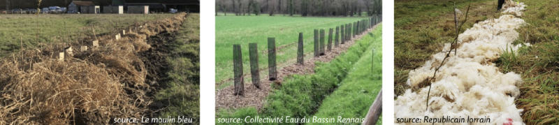 Fichier:Paillage MSV.png