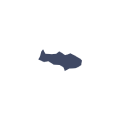Vignette pour la version du 22 février 2023 à 15:28