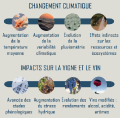 Manifestation du changement climatique au niveau de la vigne et du vin