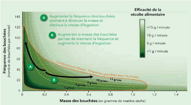 Fichier:Paturajuste ingestion efficacite recolte.jpg
