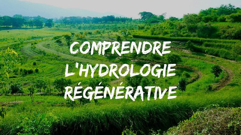 Fichier:Thumbnail youtube RUeIp85XYIY.jpg