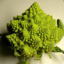 Image romanesco.jpg