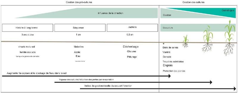 Fichier:Diagramme pratiques de gestion.jpg