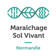 LOGO MSV avec marges.png