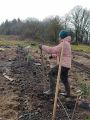 Espacement des plants