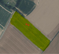 Vignette pour la version du 23 mai 2026 à 11:47