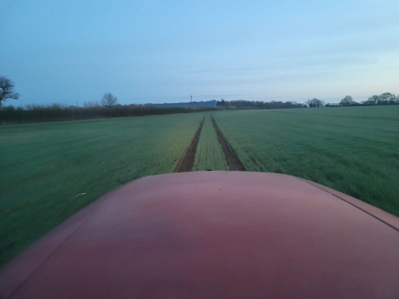 Fichier:Champ2 Saboureau.jpg