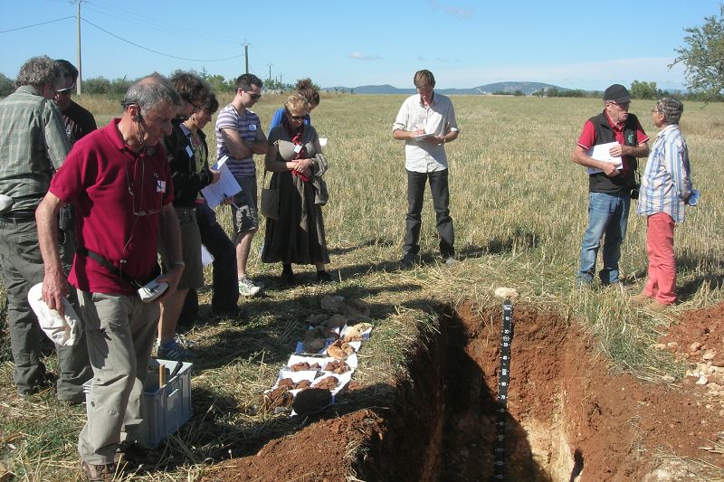 Fichier:Sols plateau valensole (09-2012).jpg