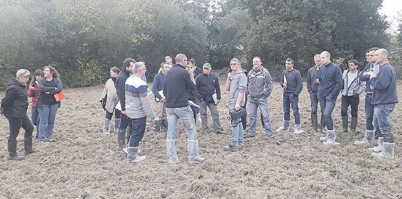 Fichier:Gaec Lusanbio.jpg