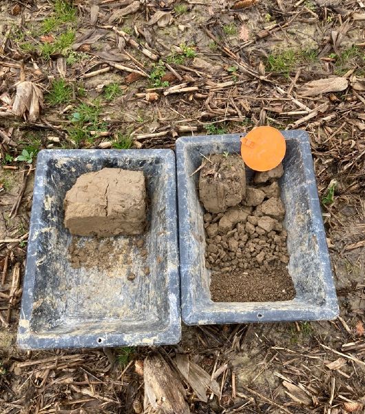 Fichier:Dupuy Differences.jpg