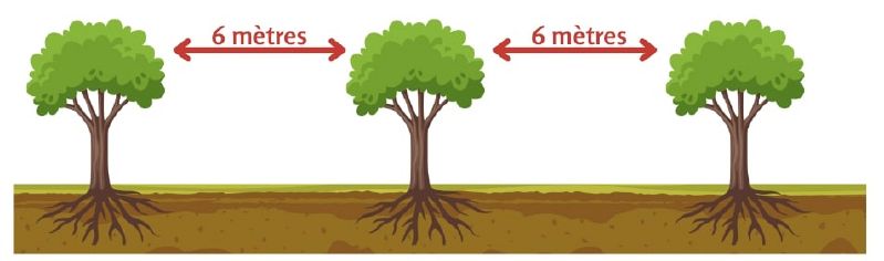 Fichier:Haie2 MSV.jpg