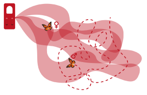 ’image illustre le principe de la stratégie de confusion sexuelle. Un diffuseur de phéromones est placé sur une plante et émet une grande quantité de signaux odorants représentés par des volutes rouges. Ces phéromones saturent l’air, créant de nombreuses fausses pistes. Les mâles papillons, visibles en train de voler autour de la plante, suivent des trajectoires erratiques et ne parviennent plus à localiser la femelle. Cette perturbation du repérage empêche les accouplements et réduit la reproduction du ravageur.