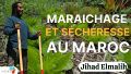 Vignette pour la version du 5 juin 2026 à 17:05