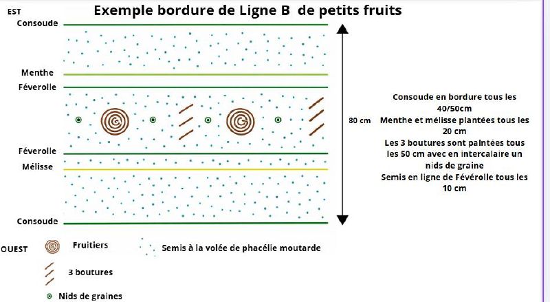 Fichier:Exemple bordure syntropie.jpg