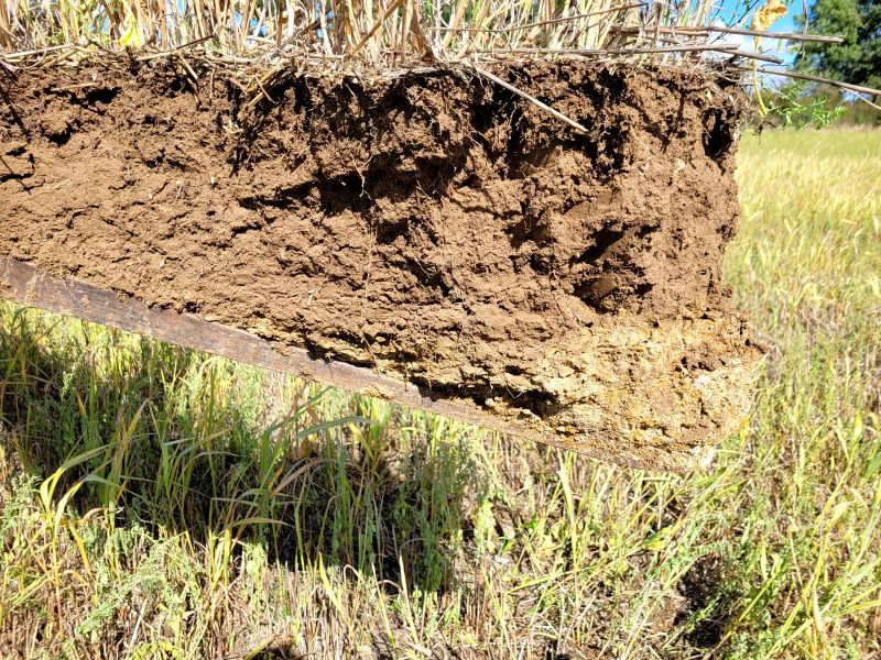 Fichier:Sol10 Saboureau.jpg