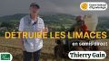 Vignette pour la version du 29 mai 2026 à 10:10