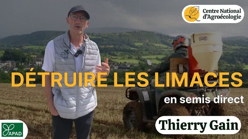 Fichier:Thumbnail youtube T2IjKG1ZALk.jpg