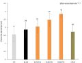 Compost biochar