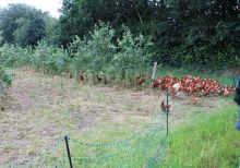 Parcours mobile arboré aux Jardins de Deux’mains.jpeg