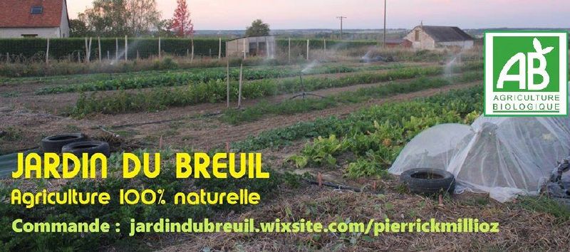 Fichier:Bannière 250326.jpg