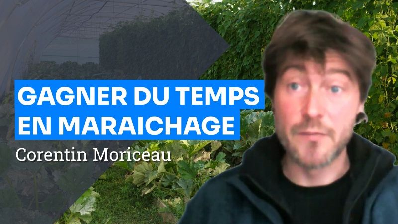 Fichier:Thumbnail youtube yKoZY-V3JcI.jpg