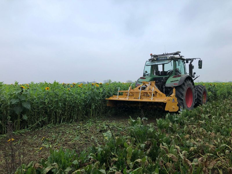 Fichier:Destruction d'un couvert.jpg